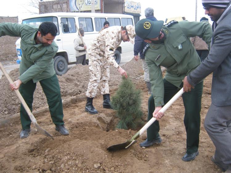 کاشت نهال در تربت جام به مناسبت روز شهید و درختکاری