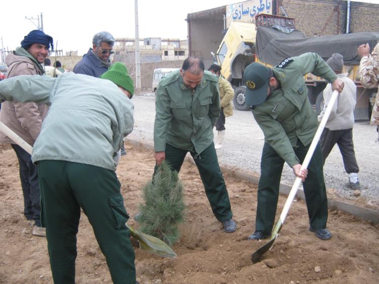 کاشت نهال در تربت جام به مناسبت روز شهید و درختکاری