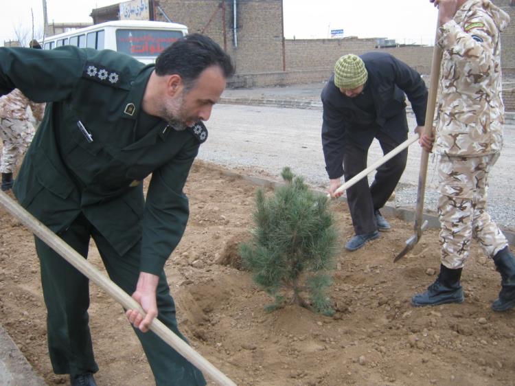 کاشت نهال در تربت جام به مناسبت روز شهید و درختکاری