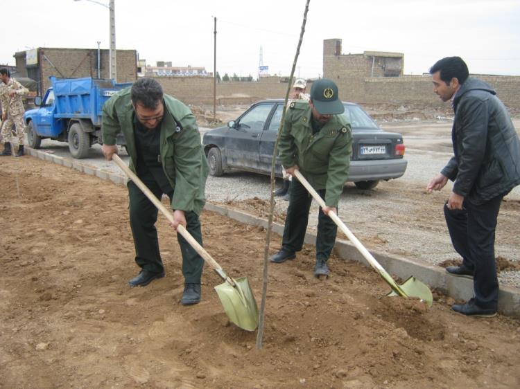 کاشت نهال در تربت جام به مناسبت روز شهید و درختکاری
