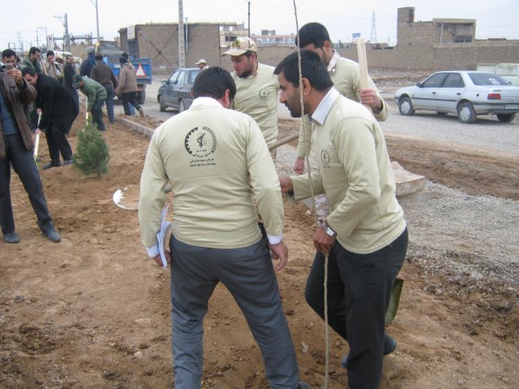 کاشت نهال در تربت جام به مناسبت روز شهید و درختکاری