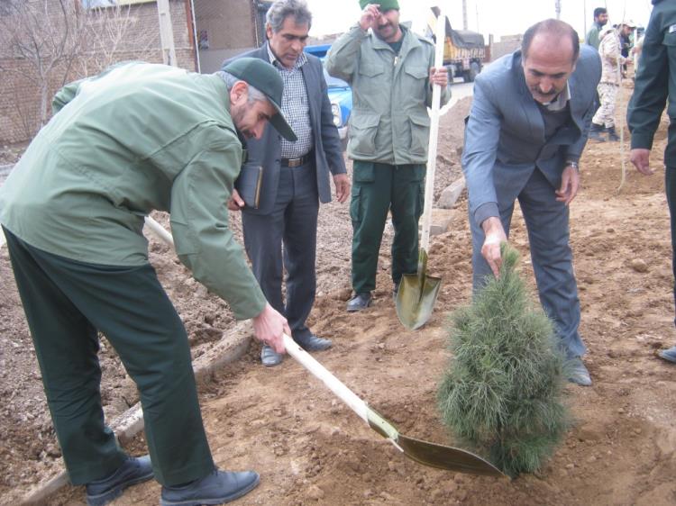 کاشت نهال در تربت جام به مناسبت روز شهید و درختکاری