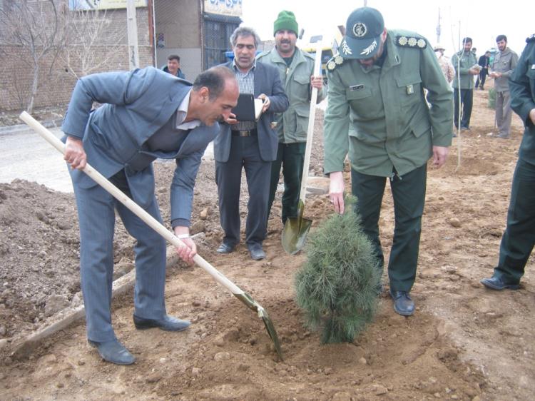 کاشت نهال در تربت جام به مناسبت روز شهید و درختکاری