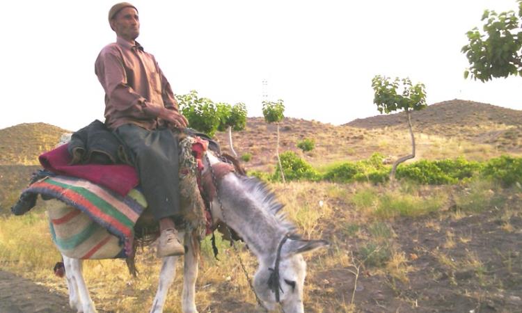 شهرستان خوشاب -سلطان آباد روستای علیک