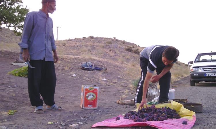 شهرستان خوشاب -سلطان آباد روستای علیک