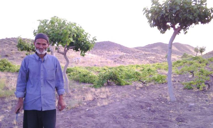شهرستان خوشاب -سلطان آباد روستای علیک
