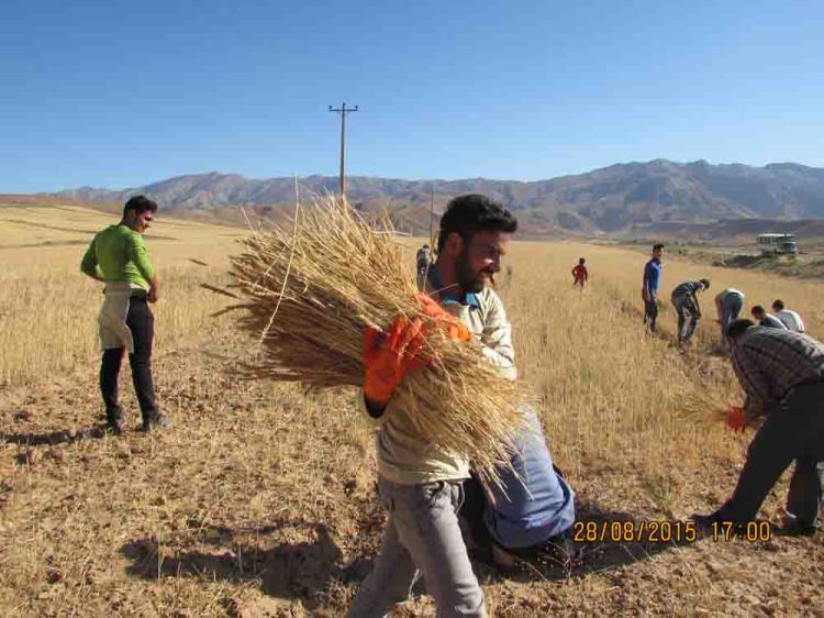 اردو جهادی بسیج محلات و دانشجویی تربت جام