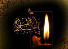 امام جواد الائمه(ع)